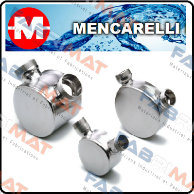 G/120 NBR NEOPRENE AISI-304 Mencarelli