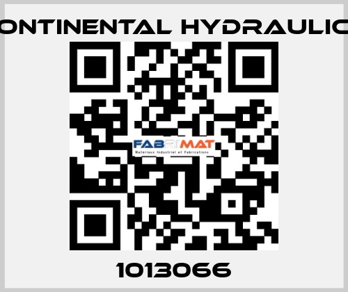 1013066 Continental Hydraulics