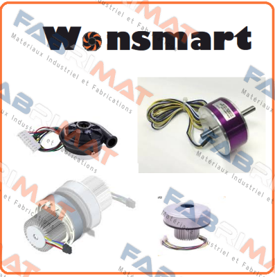 WS9290B-24-220-X200 WONSMART