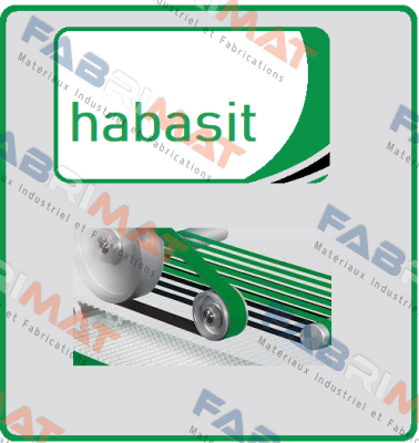 W-8 PET (Width: 30.0mm, Length: 50,000.0mm ) Habasit