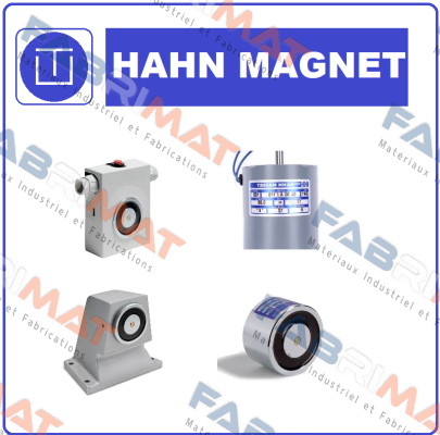 GTA050.250001 HAHN-MAGNET (Kendrion)