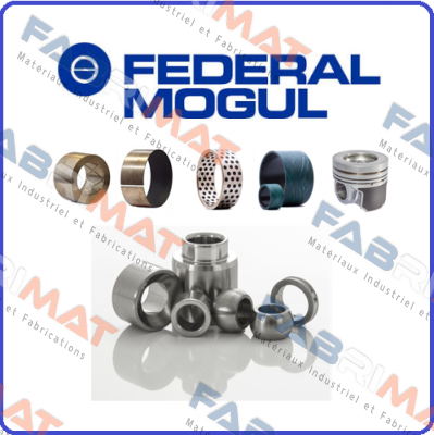 FMC-RNDEMIFS-038-21 Federal Mogul