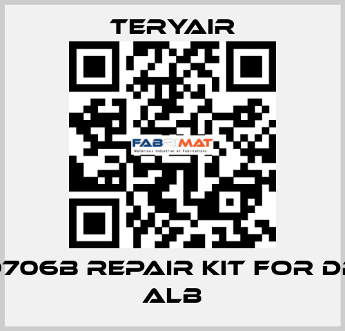 1639706B Repair kit for DP-25 ALB TERYAIR