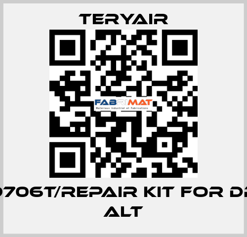 1639706T/Repair Kit for DP-25 ALT TERYAIR