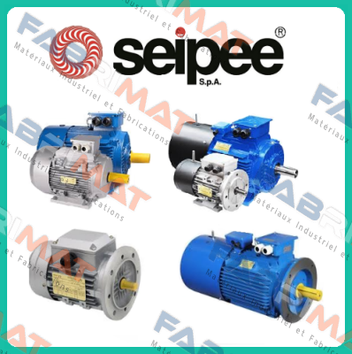 QSFA 100L4A-40 H SEIPEE