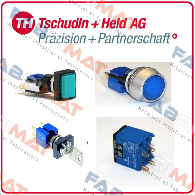 463413-010 Tschudin Heid