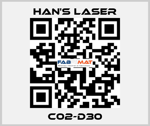 C02-D30 Han's Laser