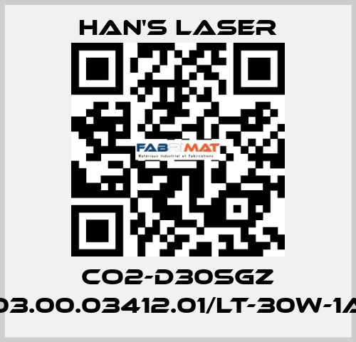 CO2-D30SGZ 03.00.03412.01/LT-30W-1A Han's Laser