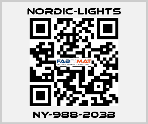 NY-988-203B nordic-lights