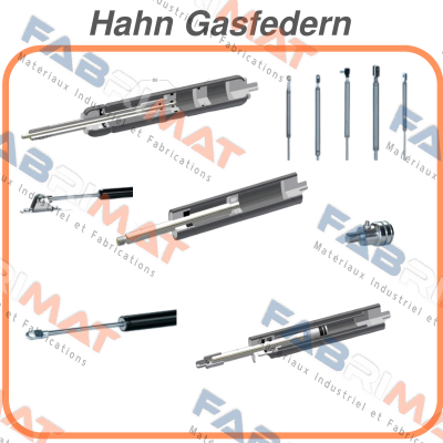 1096977 Hahn Gasfedern