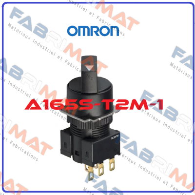 A165ST2M1 Omron