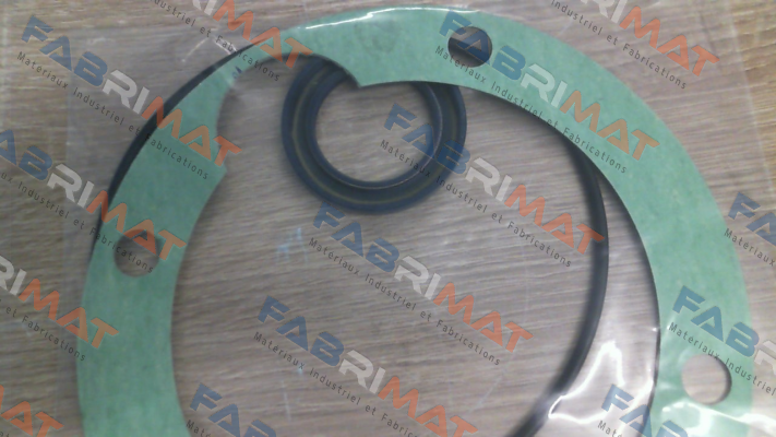 SEAL KIT for GR70-SMT16B pump Settima