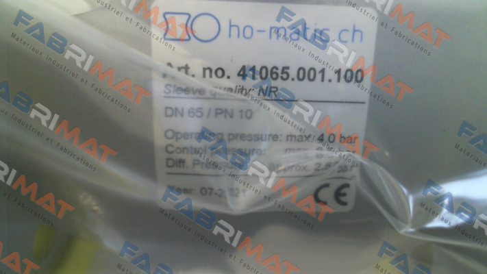 41065.001.100 (QSV65 F) Ho-Matic AG