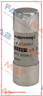 FR22GG50V63P (S214629) Mersen