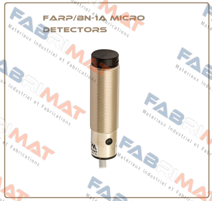 FARP/BN-1A Micro Detectors / Diell