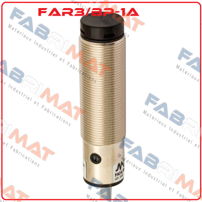 FAR3/BP-1A Micro Detectors / Diell