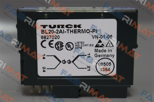 BL20-2AI-THERMO-PI Turck